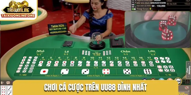 Chơi cá cược trên UU88 đỉnh nhất