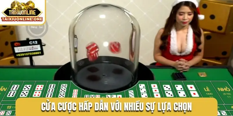 Cửa cược hấp dẫn với nhiều sự lựa chọn