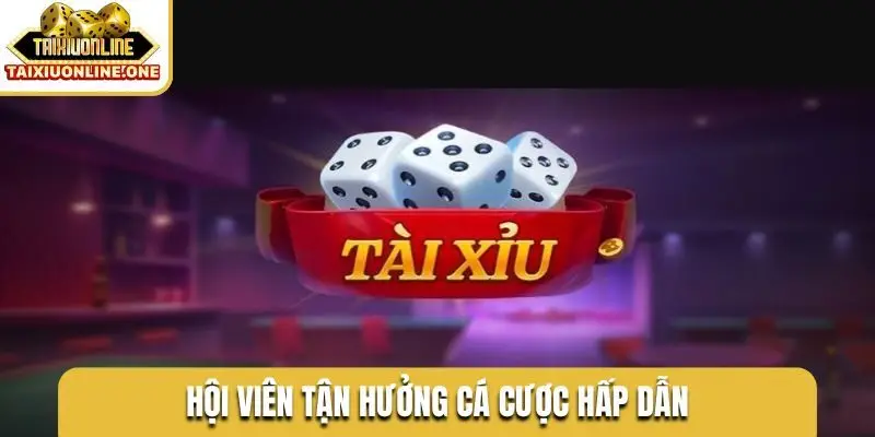 Hội viên tận hưởng cá cược hấp dẫn