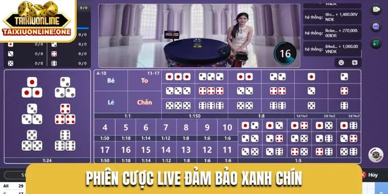 Phiên cược live đảm bảo xanh chín